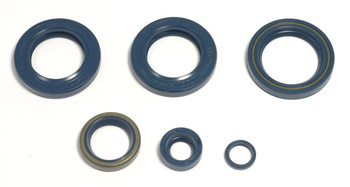KOMPLET (ZESTAW) USZCZELNIACZY SILNIKOWYCH KTM LC4 EGS400/620`96-98, LC4-E400`98-02, LC4 620`96-01